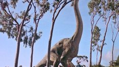 Знаете ли, че... звуците в „Джурасик парк“ са от костенурски секс?