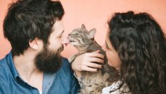 Защо котките ближат стопаните си?