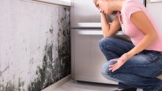 Симптоми на заболявания, причинени от токсичен мухъл вкъщи 