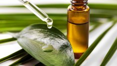3 рецепти с масло от чаено дърво против акне