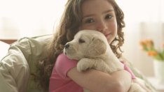 6 най-чести зарази, пренесени от домашните любимци