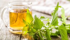 Билки за здравето на щитовидната жлеза