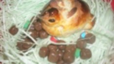 Козуначени пиленца