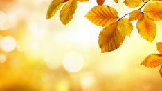 Чака ни топла есен, вижте прогнозата