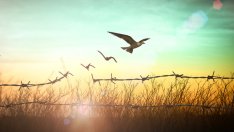 Вдъхновяващи мисли, с които да изчистите токсичните хора от живота си