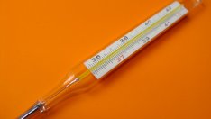 7 билки, които помагат при висока температура