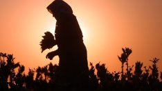 Сами определяме доброто здраве и дълголетието си