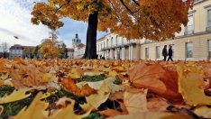 Наградените авторки в конкурса „Любовни есенни рими“