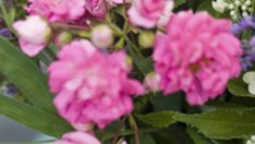 Цветница – надежда за възкресение