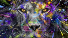 Как ще ни се отрази новолунието в Лъв на 16 август