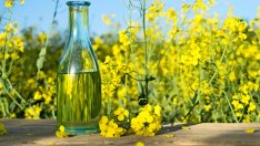 Защо рапичното олио е така полезно 