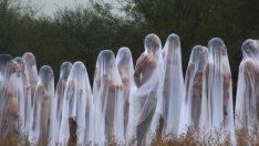 Нудизмът – начин на живот и на почивка