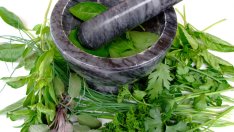 Билки и подправки за първа помощ при болки и възпалителни процеси