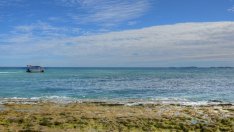 Знаете ли, че... най-големият имот в Австралия е по-голям от Белгия?