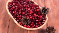 Вълшебни ползи за здравето от червените боровинки 