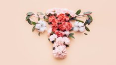 Как изглежда вагиналното течение преди и след овулация