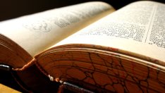 Мисъл на деня