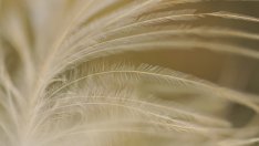 Как да погалим ерогенните зони