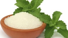 5 интересни факта за стевията