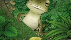 Приключенията на Краставото жабче