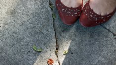 4 знака, чрез които ангелите се свързват с нас