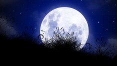 Лунна диета – януари 2014