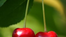 Маска с череши за пролетна свежест