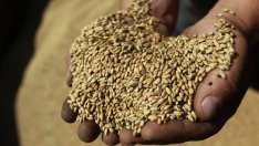 Диета за прочистване на организма