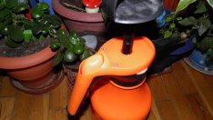 5 начина да спасим цветята от сухия въздух