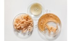 Морски мъх – суперхрана за силен имунитет и хубава кожа