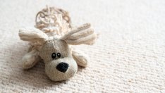 Пускат сигнал по телевизията за изчезнали и избягали деца