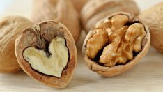 6 храни за мозъка против стрес