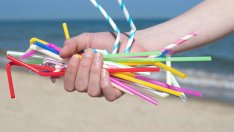 Пластмаси в бита, от които можете да се откажете без проблем