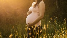 Полезни билки по време на бременност