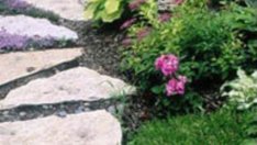 Цветният бордюр създава настроение