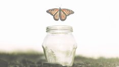 Петте споразумения – път към щастието