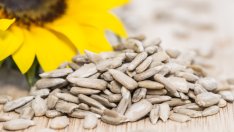 Неочаквани ползи от слънчогледовите семки 
