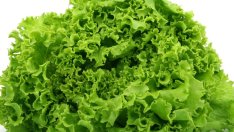 Как да премахнем нитратите от зелените салати?