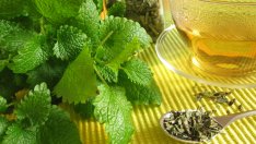 5 вида чай против бръчки