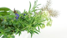 Уханна градина на Еньовден