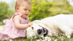 Готови ли сте за домашен любимец?