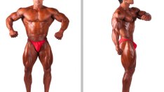 „Твърди“ факти за големината на пениса