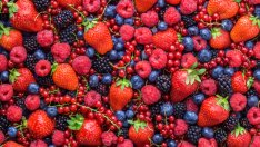 Диви плодове за детокс на черния дроб