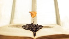 Притча за страха и тревогата