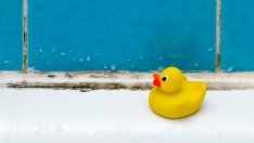 Как да предотвратите образуването на мухъл в банята?