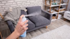 Неща в дома ви, които вредят на здравето и ви разболяват 