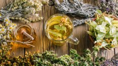 Рецепти на Преподобна Стойна при някои неразположения