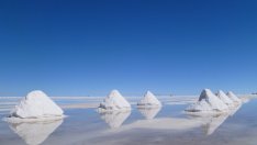 За какво се използва солта, освен за подправка