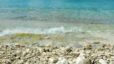 4 стъпки за медитация по време на работа