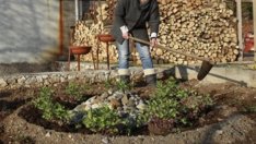 Подивяла почва – как да се справим